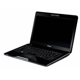 Laptop TOSHIBA Satellite T130-10 g (PST3AE-00G00JCZ) schwarz