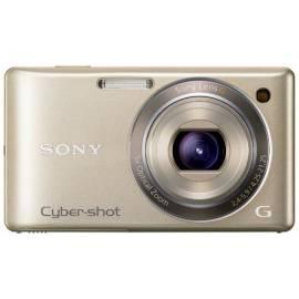 SONY Digitalkamera Cyber-Shot DSC-W380 gold