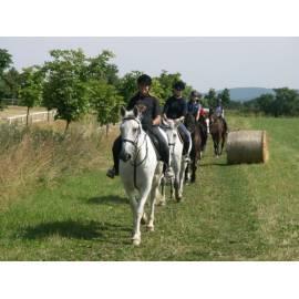 Reise in die Landschaft Reiten, für 1 Person-1 Stunde (Kühlschrank), Region: Südmähren