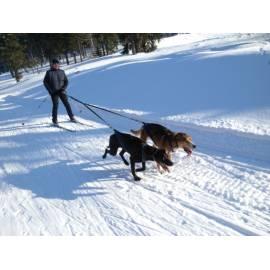 Skikjöring-Togsledding für 1 Person (riesige Berge) Region: Hradec Kralove - Anleitung