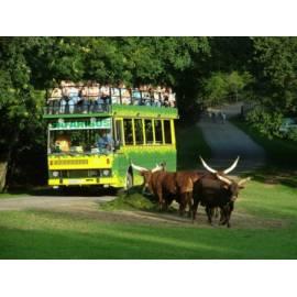 Bedienungshandbuch Abend Safari Reise für 1 Person, Region: Hradec Kralove