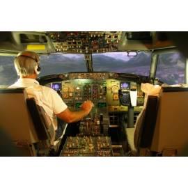 Professional Flight Simulator für ATR 42/72-1 Stunde (1-4 Personen), Region: Prag - Anleitung