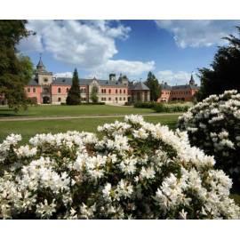 Flitterwochen Sie in einem Schloss für 2 Personen (Okr. Liberec), Liberec Region: