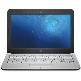 Notebook HP Pavilion Pavilion dm1-1120ec schwarz