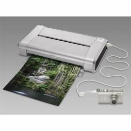 CANON Drucker Pixma iP100 (1446B029) grau