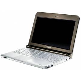 Datasheet TOSHIBA NB200-131 (PLL23E-009009CZ) Silber/Gold