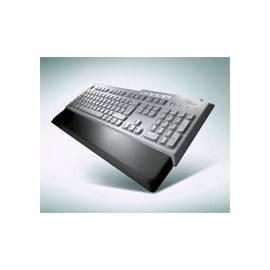 Tastatur FUJITSU KBPC PX (S26381-K340-V114) schwarz/grau