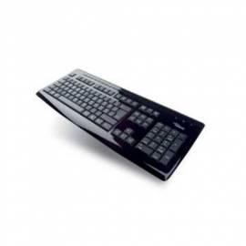 Tastatur FUJITSU SLIM MF Klavier (S26381-K370-L204) schwarz