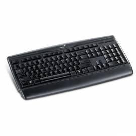 Handbuch für Tastatur GENIUS KB-120 (31300696110) schwarz