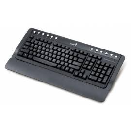 Tastatur GENIUS KB-220 (31310426108) schwarz