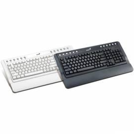 Tastatur GENIUS KB-220 (31310423116) schwarz