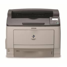 EPSON AcuLaser M8000N Printer (C11CA38011BZ)