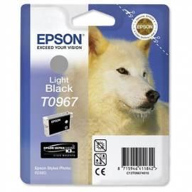 Benutzerhandbuch für Tinte Nachfüllen EPSON T0967, 13ml (C13T09674010) grau