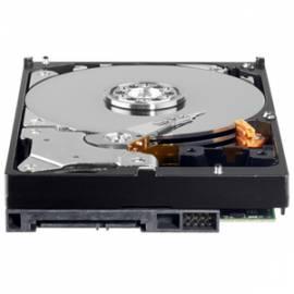 Tought Festplatten WESTERN DIGITAL AV-GP 3, 5 