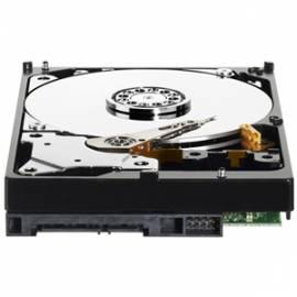 gelehrt-Festplatte WESTERN DIGITAL Caviar Green 3, 5 