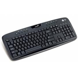 Tastatur GENIUS KB-220e schwarz (31310306110)