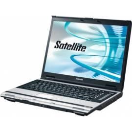 NTB-Toshiba A110-133-Satelliten