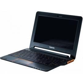 Notebook TOSHIBA AC100-10N (PDN01E-002015CZ) Gebrauchsanweisung