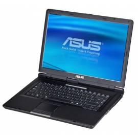 Notebook ASUS EP083A-schwarz