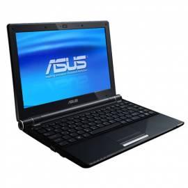 Notebook ASUS U20A-2P024C