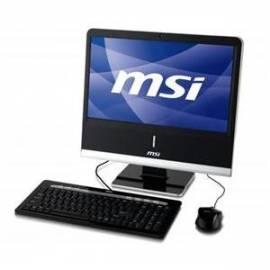 PC Schwarz/Silber alle in einem MSI Wind NETON AP1920-029CS