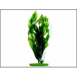 Pflanzen Dschungel Vallisneria 38 cm 1pc (101-PP1514)