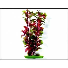 Datasheet Pflanzen Red Ludwigia 38 cm 1pc (101-PP1519)