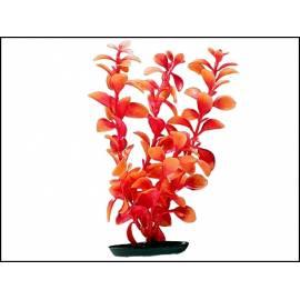 Handbuch für Pflanze, Ludwigia, Rot Orange 38 cm 1pc (101-PP1549)