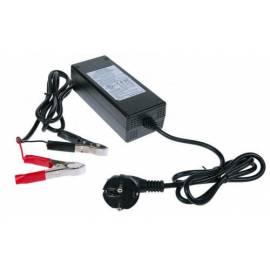 WILSTAR 12V/10A Ladegerät für Blei-Säure AGM/GEL-Batterien