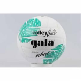 Datasheet Ball Volleyball GALA Schule 5031 L