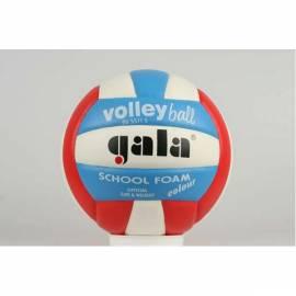 Ball Volleyball GALA Schule 5511 mit