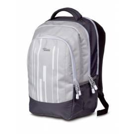 Rucksack für Laptop FUJITSU Campus T10 Rucksack (S26391-F119-L210) schwarz/silber