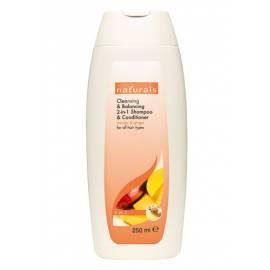 Reinigung Shampoo und Spülung 2 in 1 mit Mango und Ingwer für alle Arten von Haar 250 ml