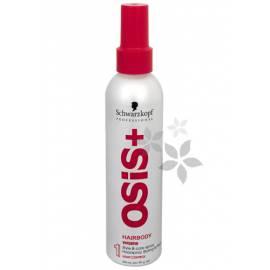 Bedienungshandbuch Styling und Pflege Hairbody spray 200 ml