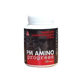 PM Amino Progress 120 Kapseln