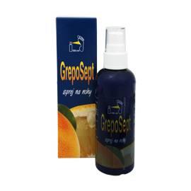 Greposept-Spray auf Füße 100 ml