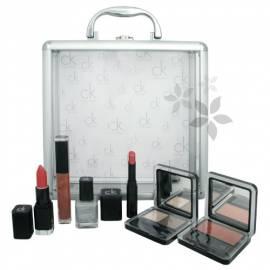 Satz von dekorativer Kosmetik in einem transparenten Fall True Beauty Collection Silber