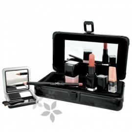 Satz von dekorativer Kosmetik in einem schwarzen Koffer Backstage Collection Black