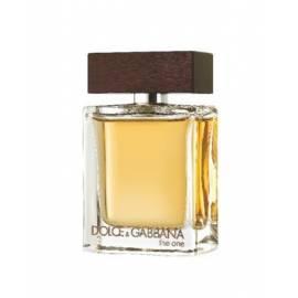 Handbuch für Eau de Parfum DOLCE & GABBANA The One 100ml