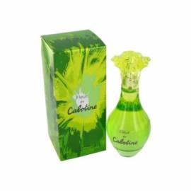 Toaletni Voda Sandstein histrionic Blume 100 ml (Tester)