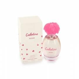 PDF-Handbuch downloadenGRES Cabotine Rose WC Wasser 100 ml