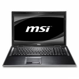 MSI FX700-004CS