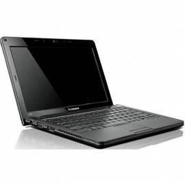 Notebook LENOVO IdeaPad U165 (59043506) Bedienungsanleitung