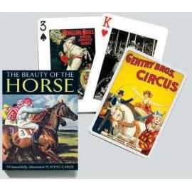 Handbuch für Piantik Horse Poker