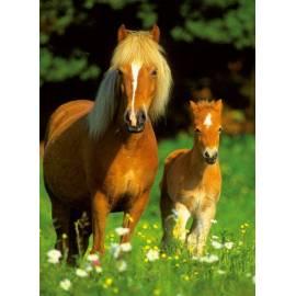 Benutzerhandbuch für Ravensburger Puzzle Horses 300 d