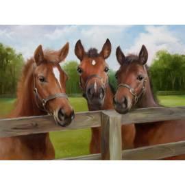 Ravensburger Puzzle Horses 500 d