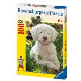 Benutzerhandbuch für Der spanische Wasserhund Ravensburger Puzzle 100XXL