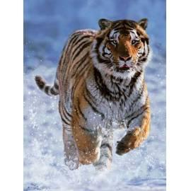Ravensburger Puzzle Tiger auf Schnee 500D Bedienungsanleitung