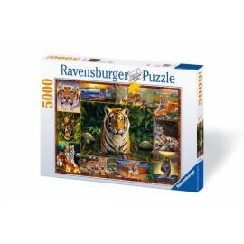 Ravensburger Puzzle Tiger 5000 d
