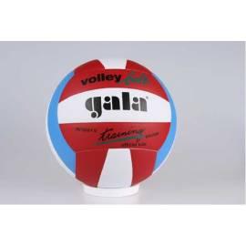 Service Manual Ball Volleyball GALA Training 5061 mit weiß/rot/blau